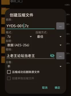 [自行打包] 国人产的日本AV YYDS-001 [1V+2G][百度盘]